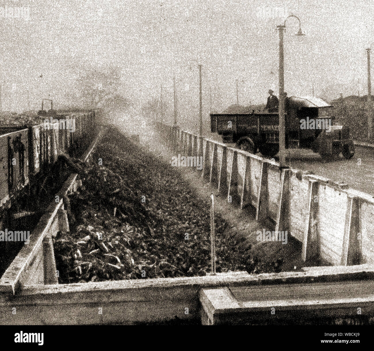 L'inglese di barbabietole da zucchero industria - 1920's premere picture di inglese per la produzione di zucchero di barbabietola (scarico barbabietola a Newark on Trent). La produzione su larga scala è iniziata dopo la prima guerra mondiale dopo la guerra-tempo di penuria di zucchero di canna importato. Nel 1920 vi erano circa 20 stabilimenti commerciali di trasformazione dello zucchero di barbabietola. Foto Stock