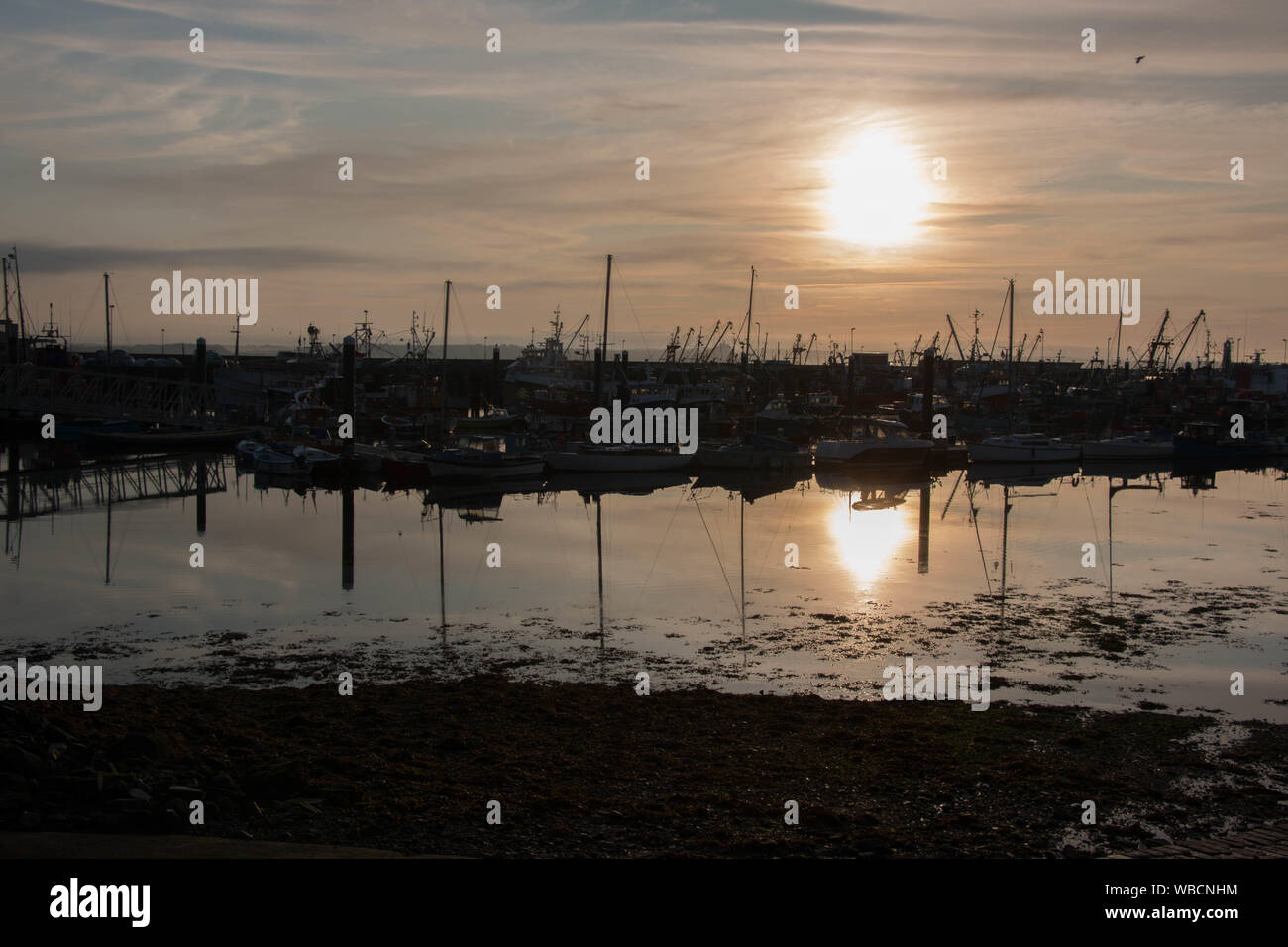 Sagome di barche nel Porto di Newlyn, Cornwall, all'alba Foto Stock