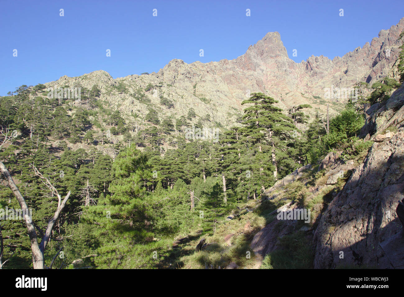 Paglia Orba north face da GR20 vicino Bergerie de ballone, Ravin de Paglia Orba, Francia, Corsica, GR20 Foto Stock