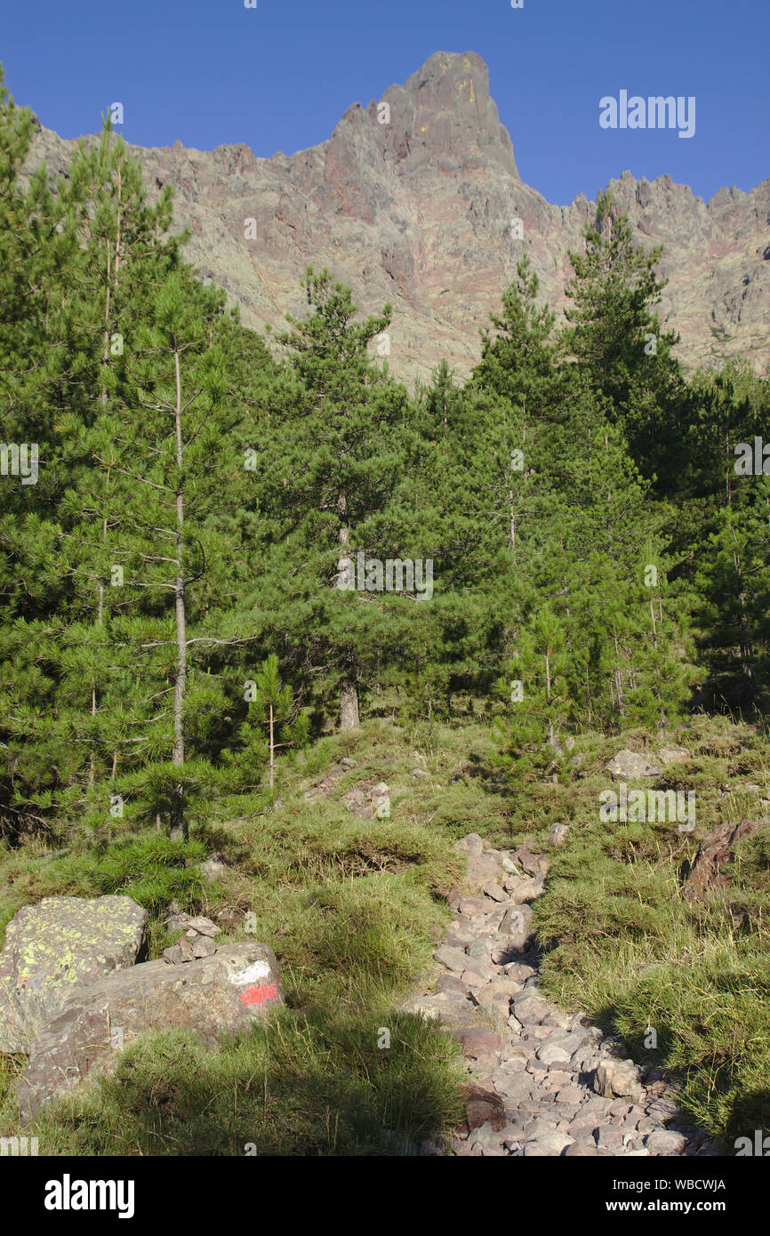 Paglia Orba north face da GR20 vicino Bergerie de ballone, Ravin de Paglia Orba, Francia, Corsica, GR20 Foto Stock