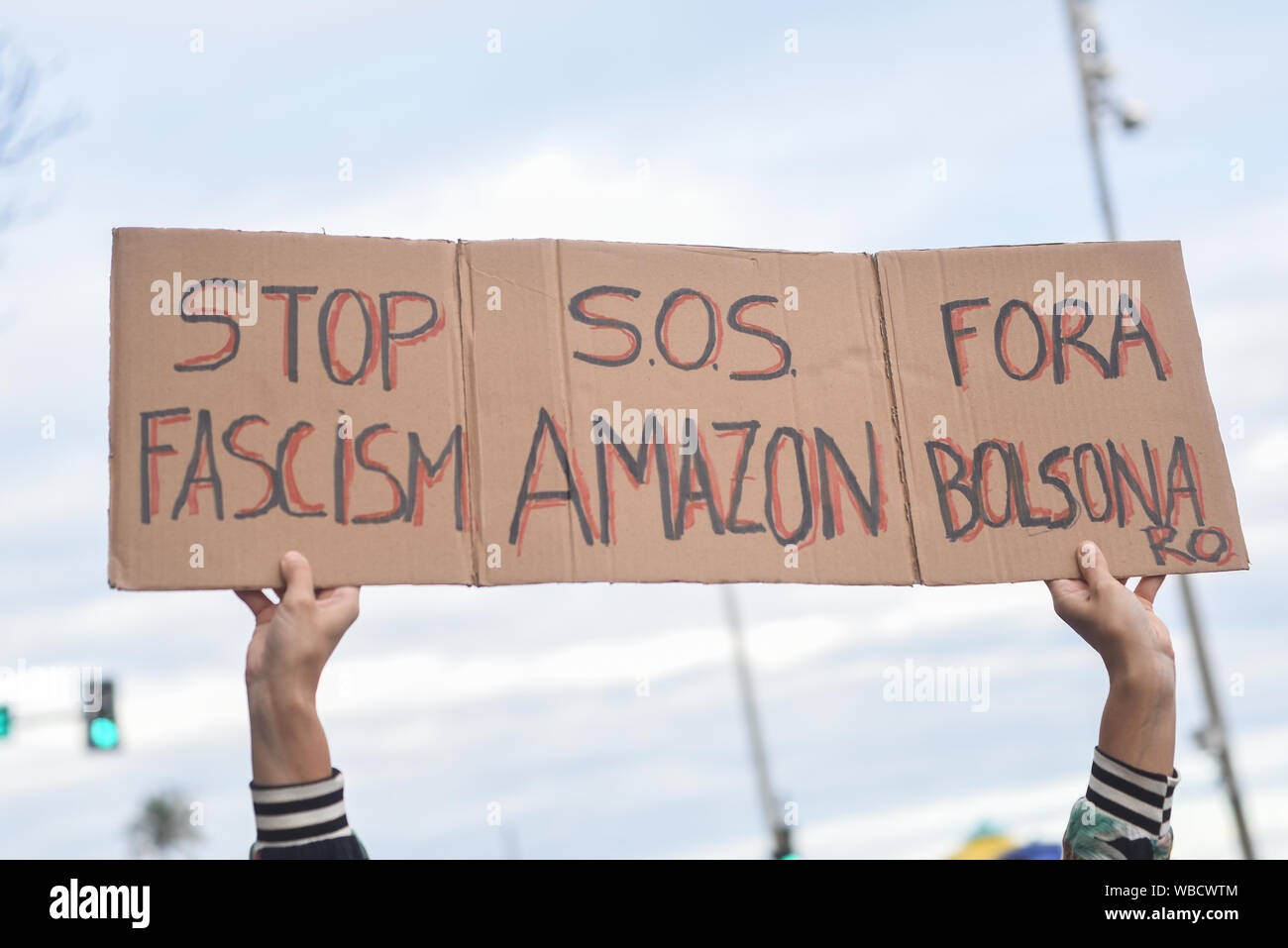 RIO DE JANEIRO, BRASILE, Agosto 25, 2019: protesta per la foresta pluviale amazzonica contro la bruciatura e la deforestazione e contro il governo Bolsonaro Foto Stock