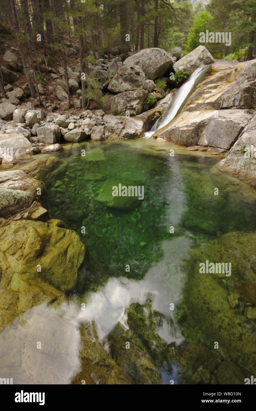 Piscina naturale in Ruisseau de Manganello sulla GR20, foresta di Venaco, Francia, Corsica, GR20 Foto Stock