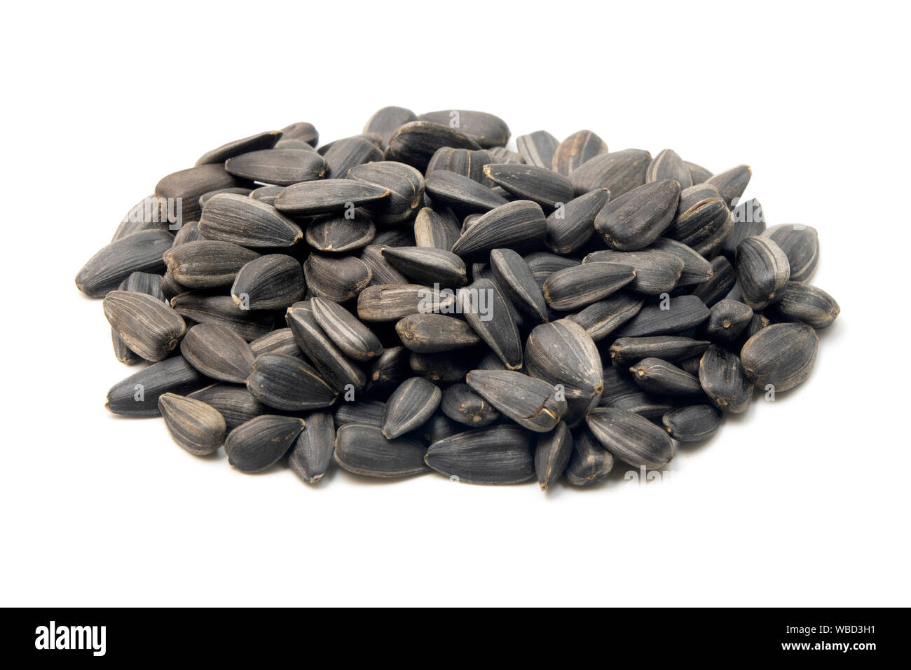 Arrosto di nero semi di girasole (Helianthus annuus) su uno sfondo bianco Foto Stock
