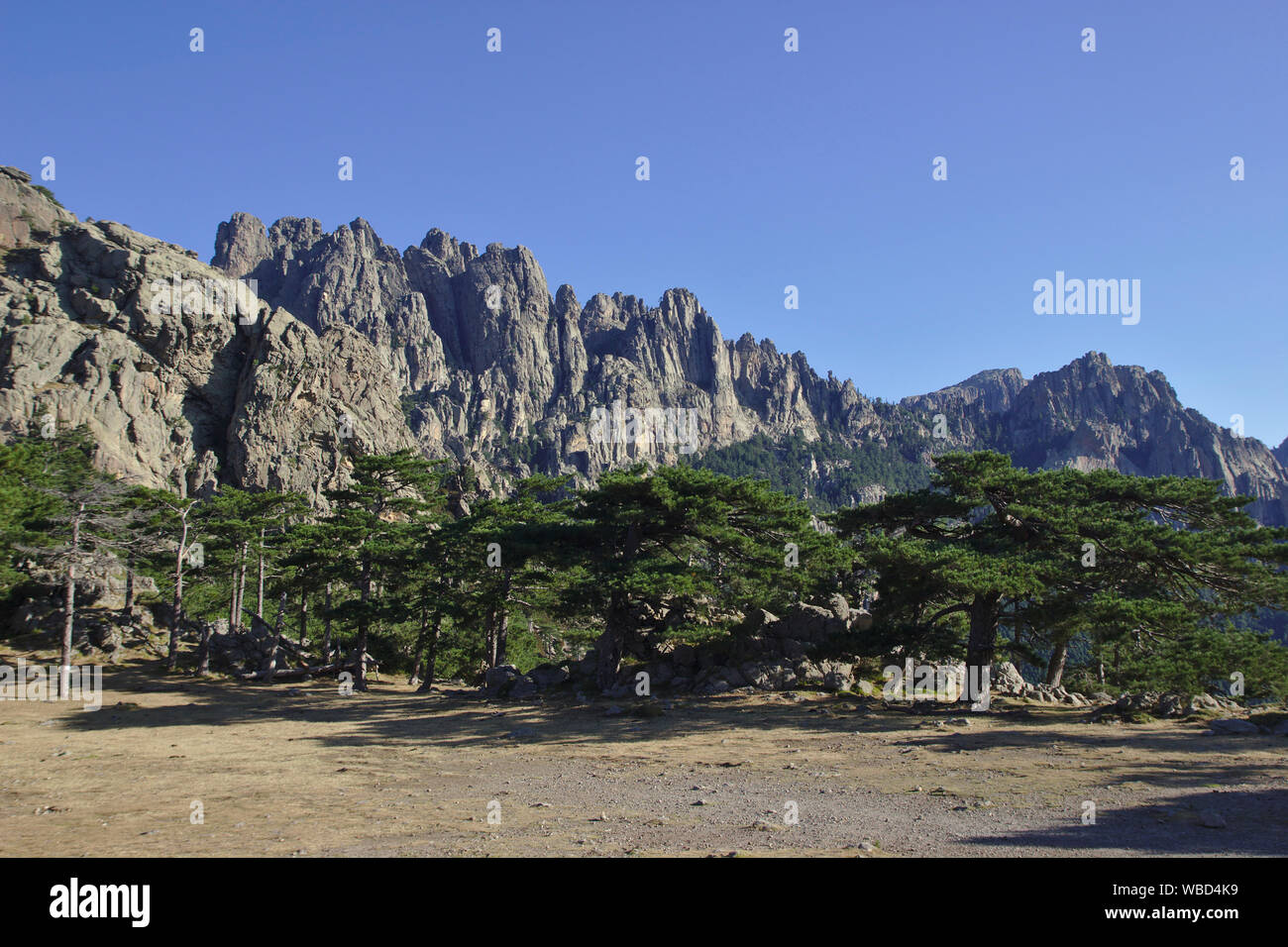 Vista da Col de Bavella, Francia, Corsica, GR20 Foto Stock