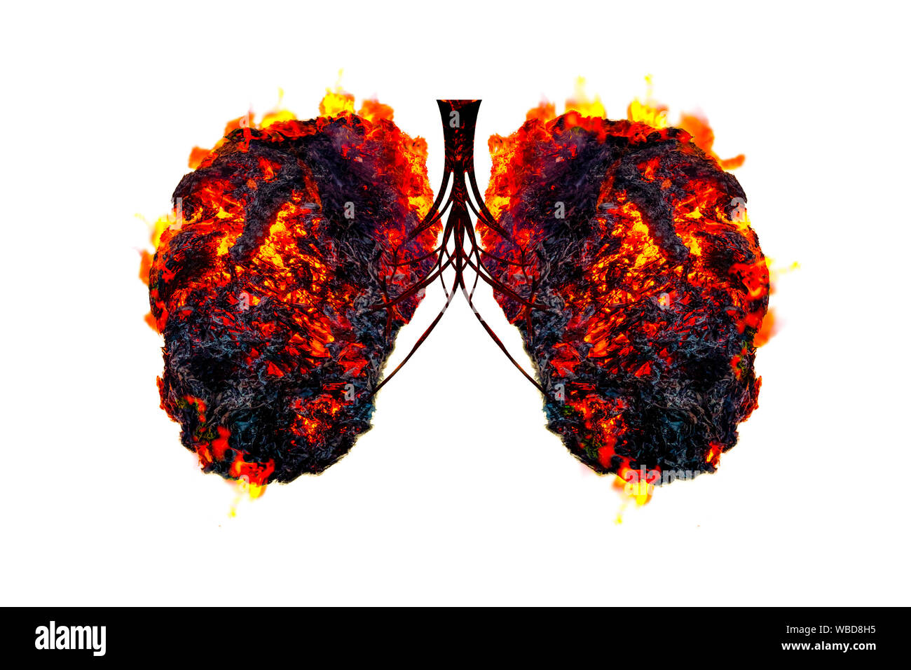 Polmone verde a forma di albero di immagini, concetti medici, autopsia, visualizzazione 3D e animali come un elemento Foto Stock