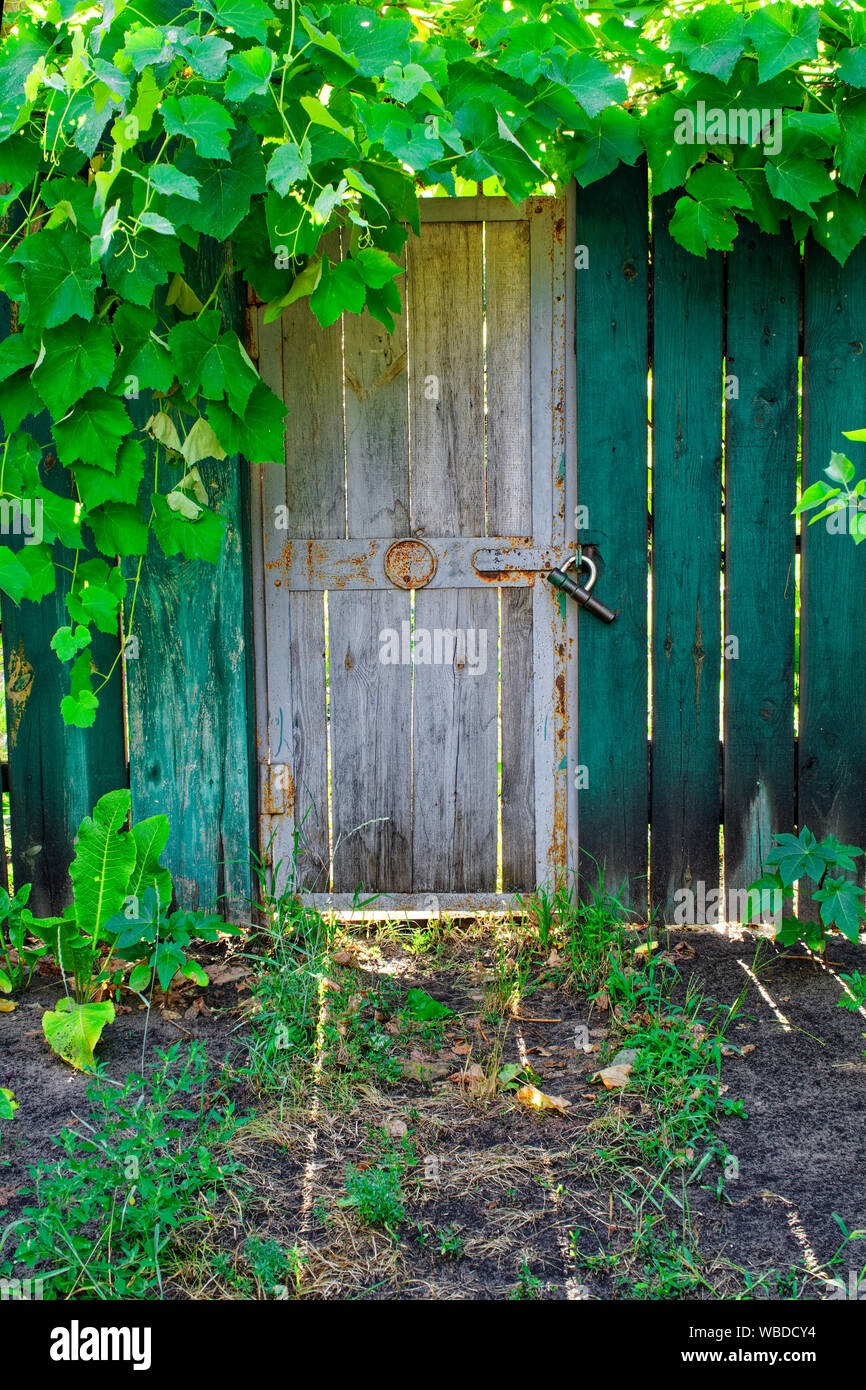 Vecchia porta di legno nel verde con raggi di sole, sun break e ombre. Verde di recinzione in legno. Foto Stock