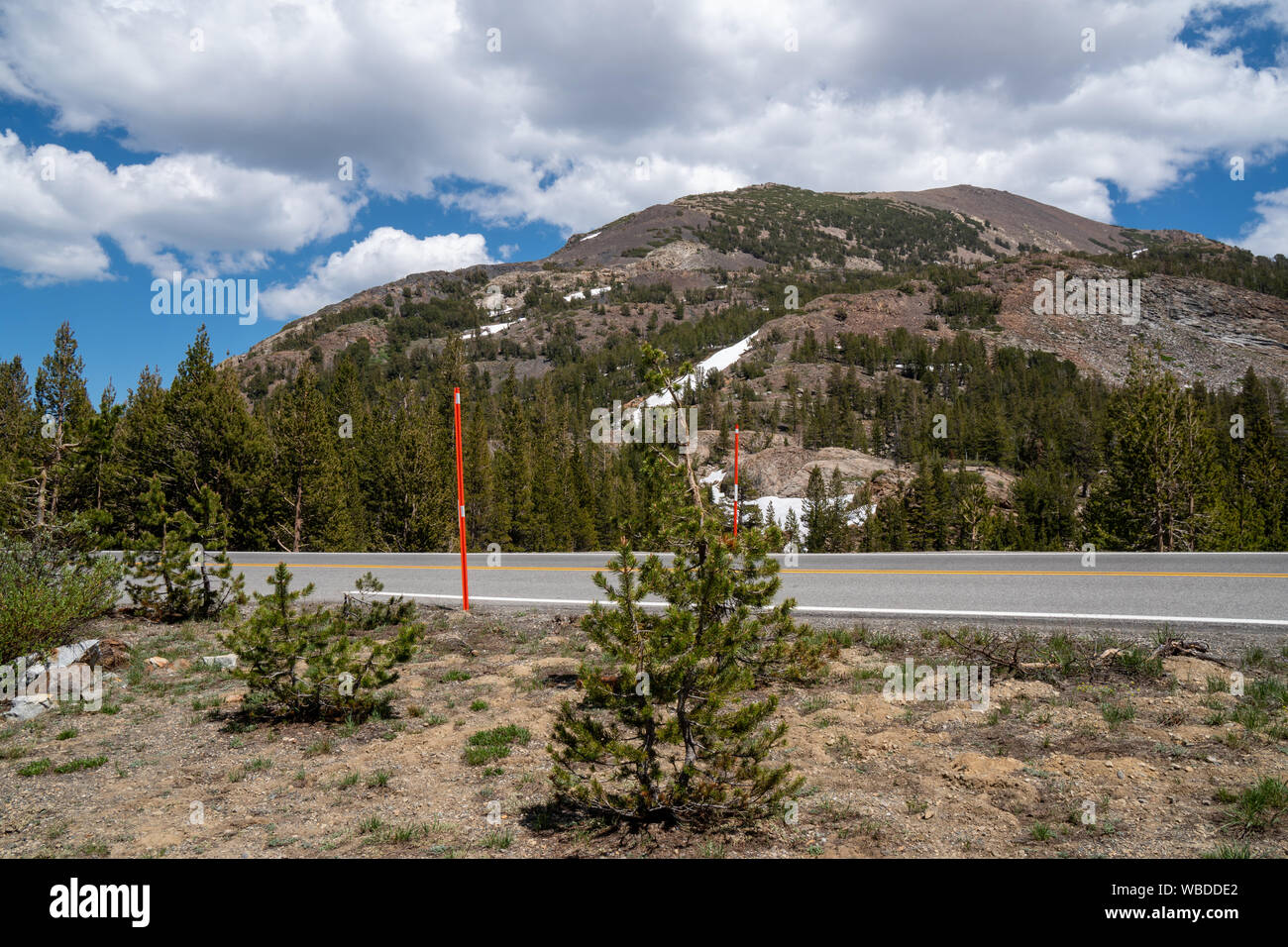 Marcatore di neve bastoni (snowpole) lungo Tioga Pass, attraversando il Parco Nazionale di Yosemite in California, che mostra la rimozione della neve equipaggi al bordo della strada un Foto Stock