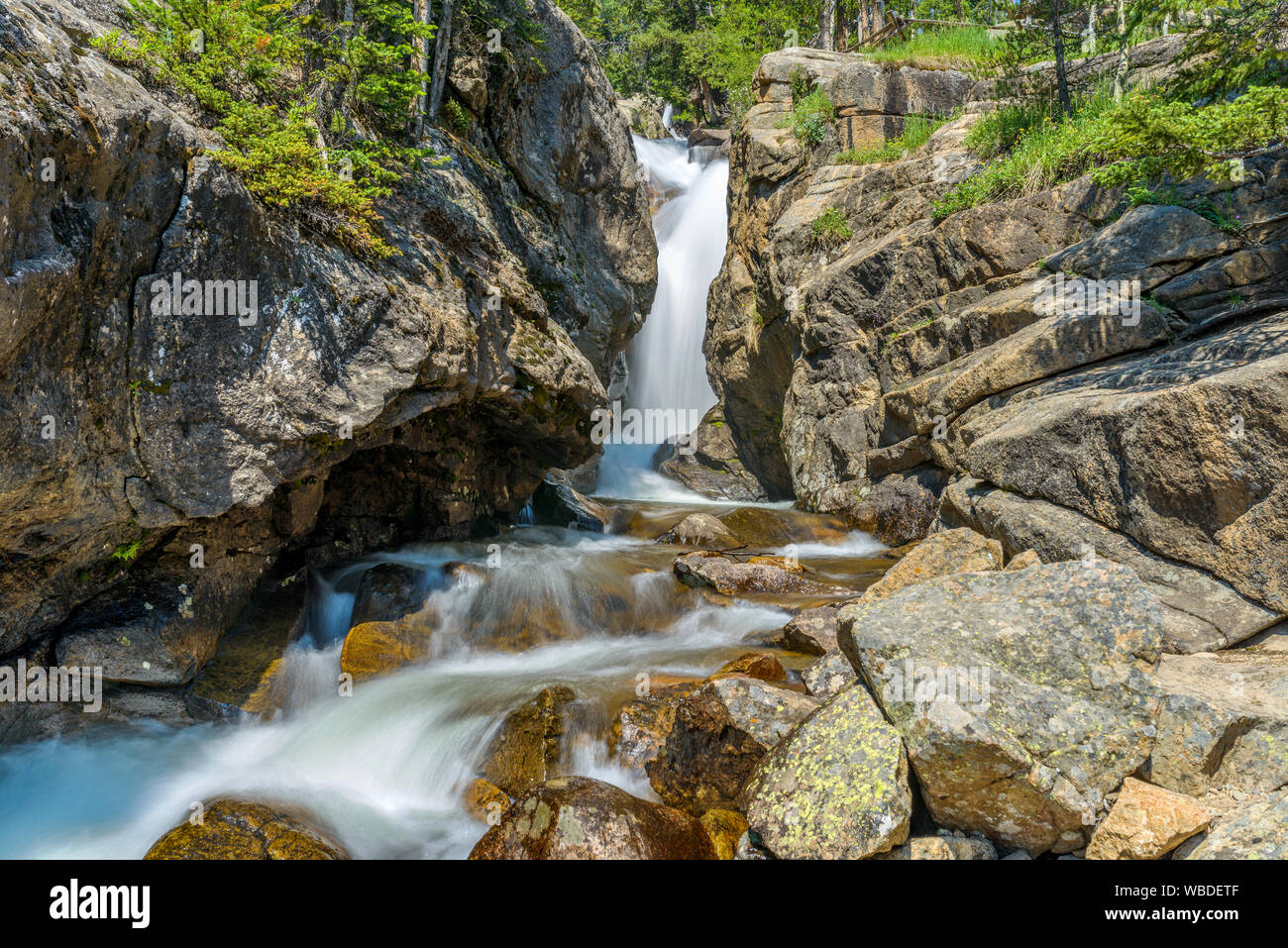 Chasm Falls - Una vista estiva di baratro cade, Rocky Mountain National Park, CO, Stati Uniti d'America. Foto Stock