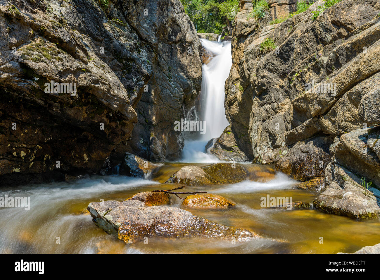 Chasm Falls - Close-up vista estiva di baratro cade, Rocky Mountain National Park, CO, Stati Uniti d'America. Foto Stock