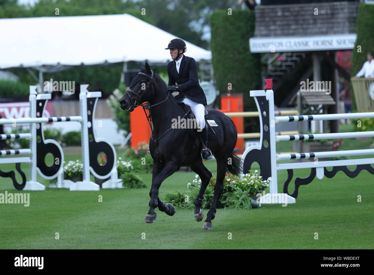 Domenica 25 agosto 2019 Bridgehampton NY giorno di apertura 2019 Hampton Classic Horse Show Foto Stock