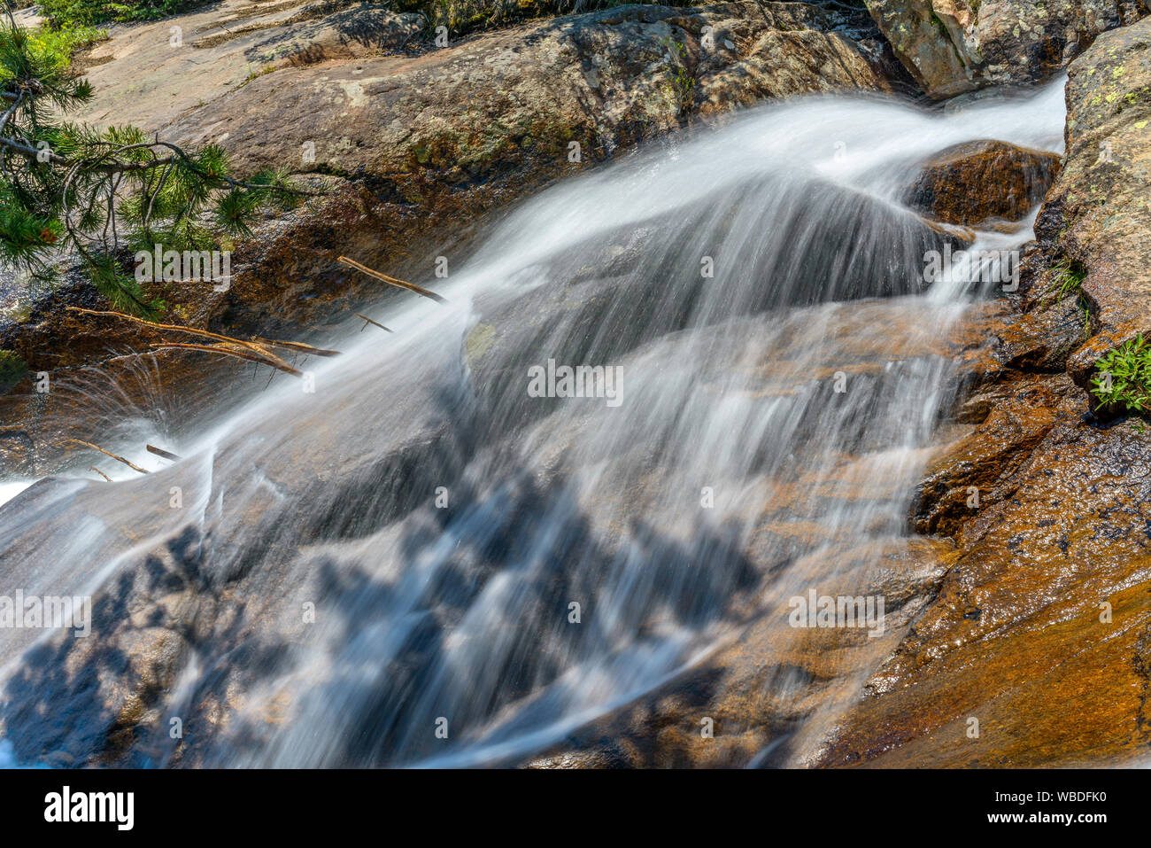 Velo di acqua - Estate creek colata di un sottile strato di velo di acqua di monte in superficie di roccia. Fall River, Rocky Mountain National Park, CO, Stati Uniti d'America. Foto Stock