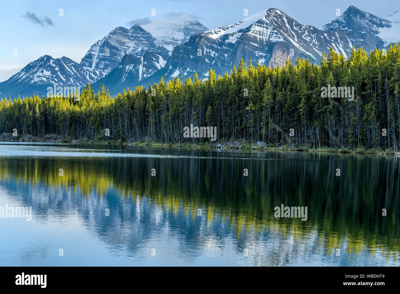 Herbert lago - Una molla vista al tramonto di Herbert Lago e i suoi dintorni di alte vette montane, il Parco Nazionale di Banff, AB, Canada. Foto Stock