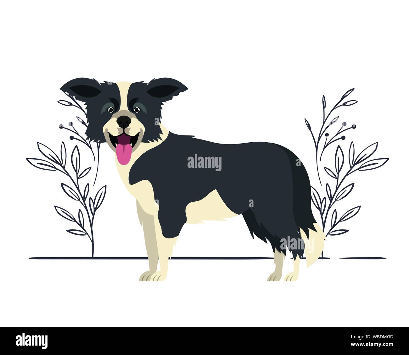 Biglietto di auguri con Border Collie: Biglietto con cane da