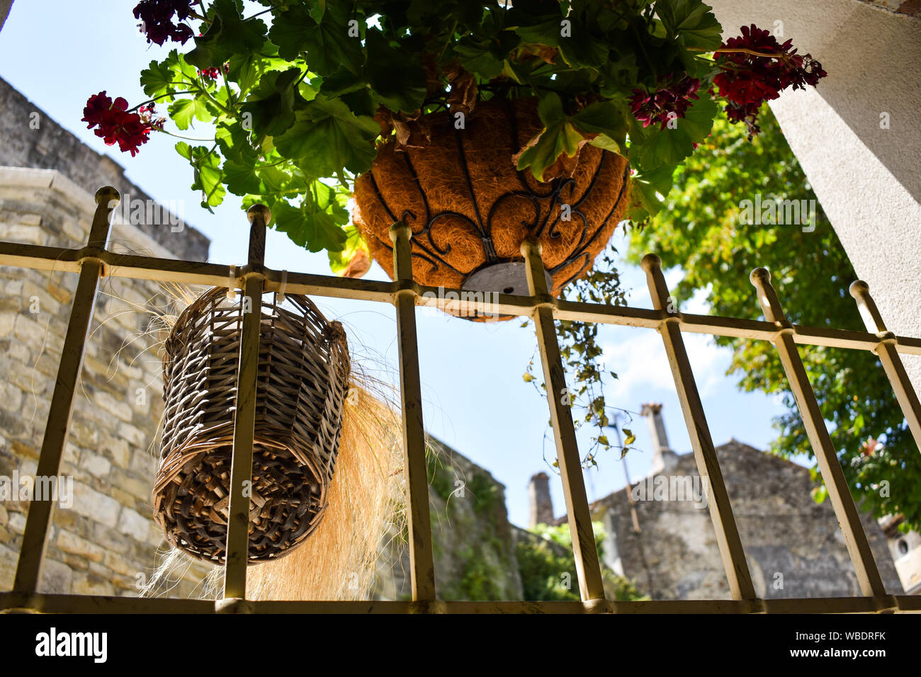 Esterno decorativo dei POT del fiore. Vista dal ristorante di Montona d'Istria, Croazia. Viaggi, vacanze, estate, giornata di sole. Foto Stock