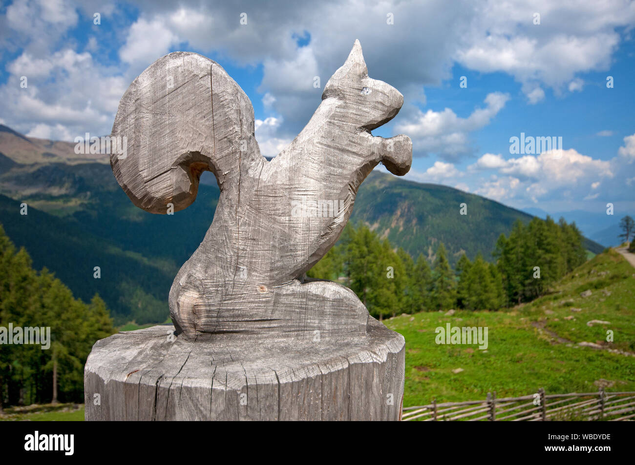 Scultura in legno di piccolo albero nella foresta, Val d'Ultimo (Val d  Ultimo), Bolzano, Trentino Alto Adige, Italia Foto stock - Alamy