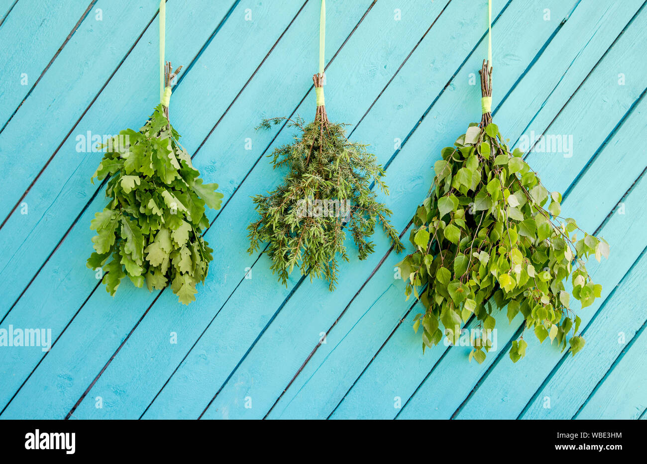 Diversi freschi fatti in casa sauna accompagna i rami pendenti e essiccamento su parete blu. La betulla, la quercia e il ginepro ginestra fasci. Foto Stock