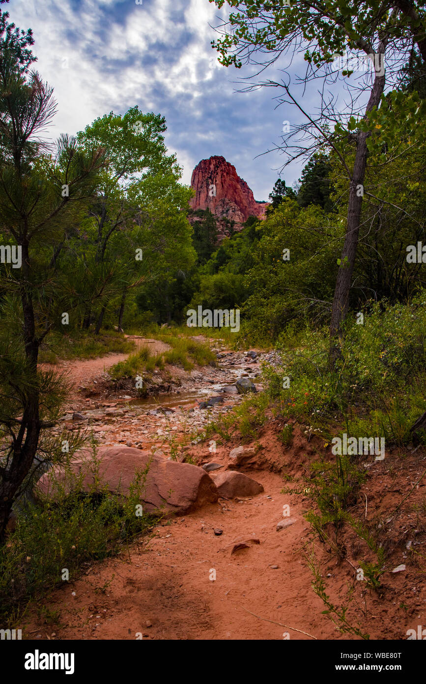 Taylor Creek Trail e il doppio arco alcova in Zions National Park, UT. Stati Uniti d'America Foto Stock