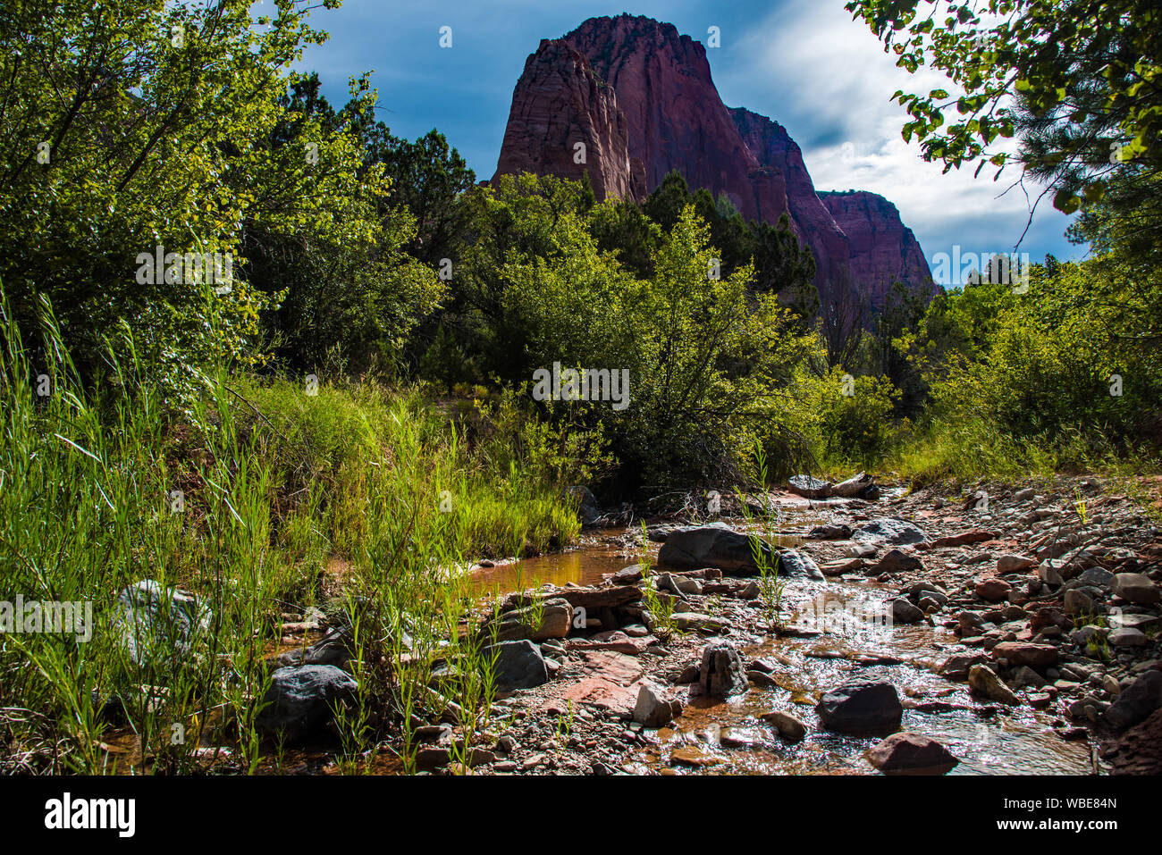 Taylor Creek Trail e il doppio arco alcova in Zions National Park, UT. Stati Uniti d'America Foto Stock