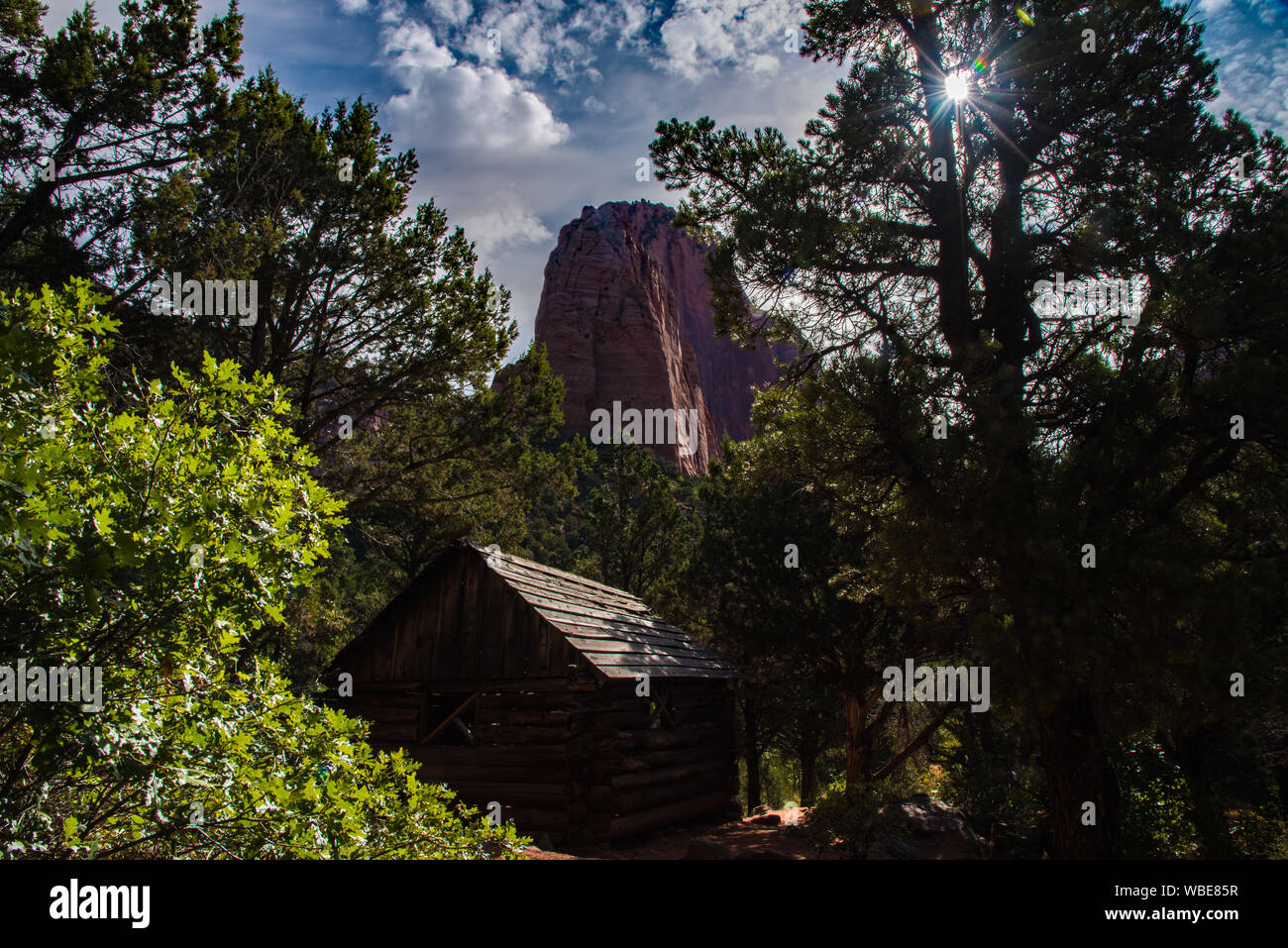 Taylor Creek Trail e il doppio arco alcova in Zions National Park, UT. Stati Uniti d'America Foto Stock