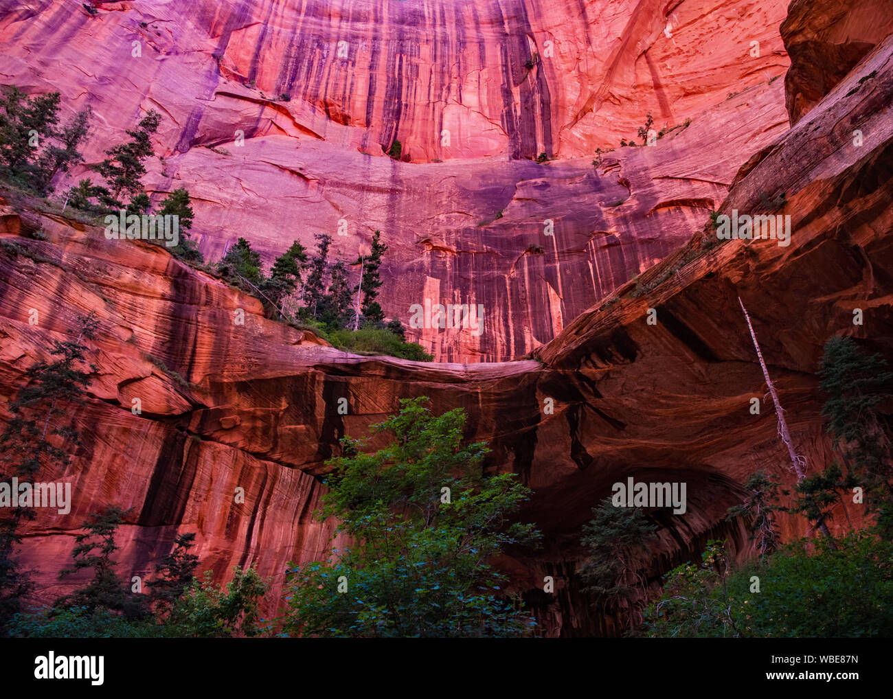 Taylor Creek Trail e il doppio arco alcova in Zions National Park, UT. Stati Uniti d'America Foto Stock