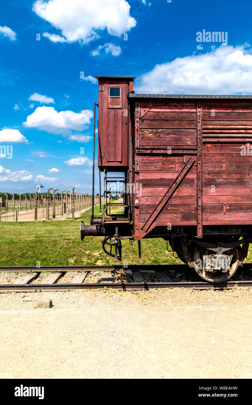 Güterwagen ferrovia come usato per le deportazioni ad Auschwitz-Birkenau campo di concentramento nazista, Polonia Foto Stock