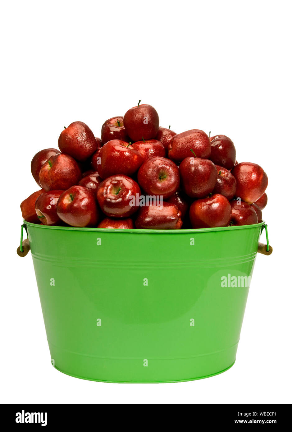 Colpo verticale di succosa wet mele rosse in un secchio verde isolato su bianco con copia spazio. Foto Stock