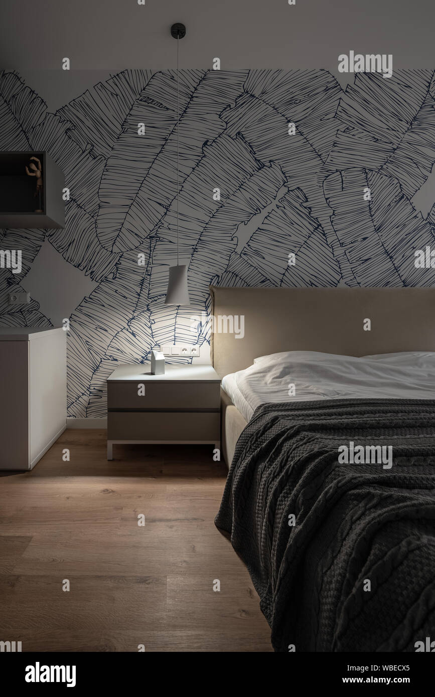 Camera da letto illuminata con pareti bianche con modelli e un pavimento in parquet. Vi è un letto matrimoniale con biancheria chiara e scura coverlet, grigio notti Foto Stock