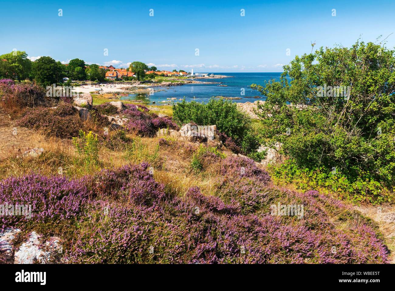Vista di Allinge con la zona di balneazione e smokehouse sulla costa rocciosa del mar Baltico, fioritura erica (Erica) davanti, Allinge-Sandvig, Bornholm Foto Stock