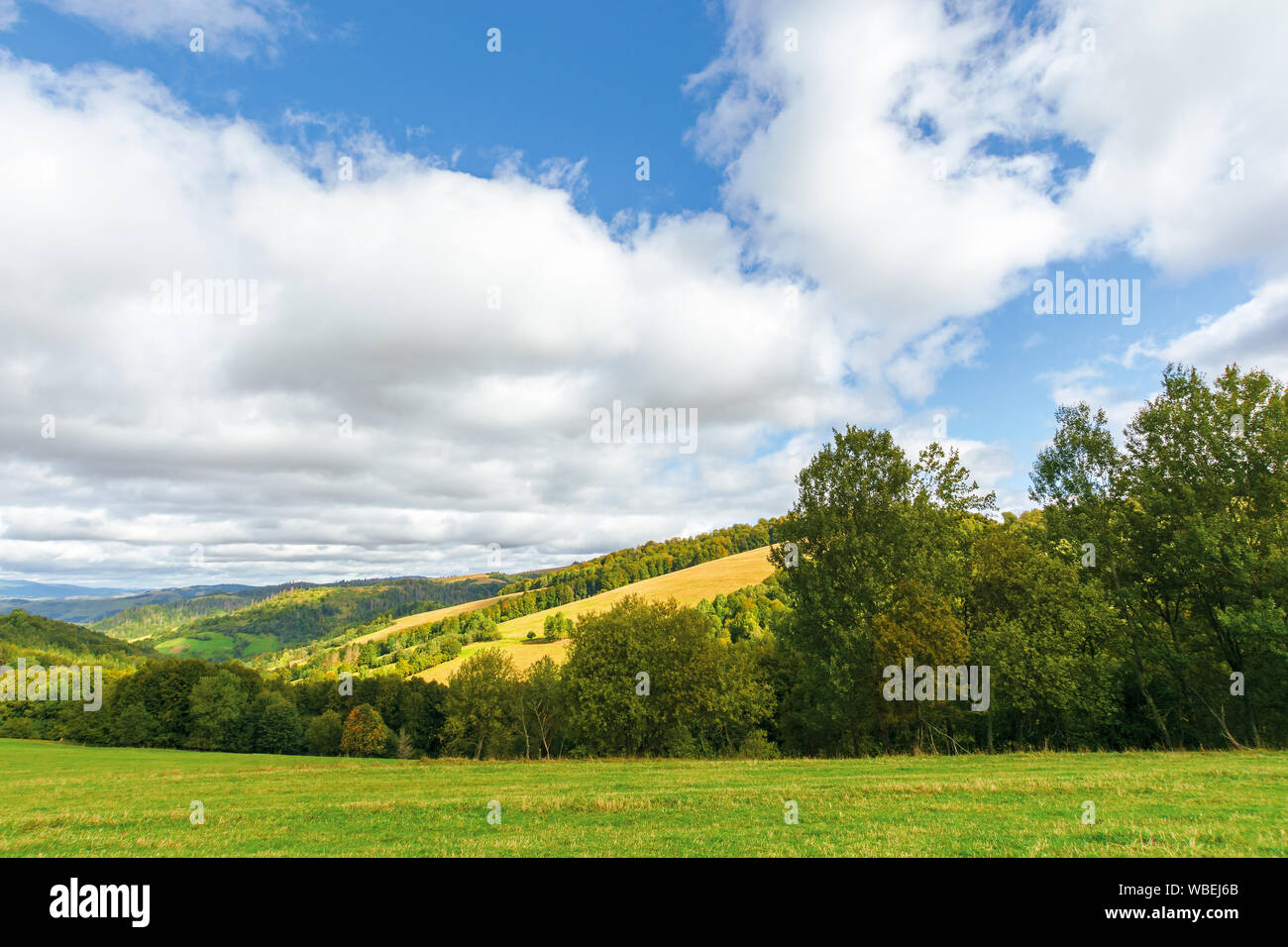 La bellissima campagna in montagna. alberi sulle colline erbose. soleggiato settembre meteo con cielo nuvoloso. Meraviglioso sfondo natura Foto Stock