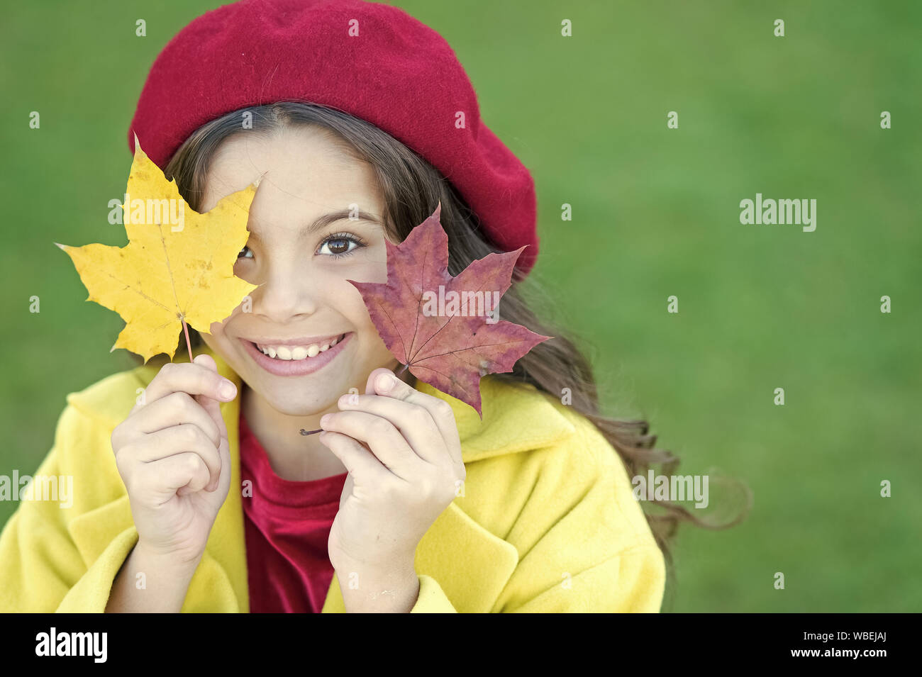 Bambino con autunno foglie di acero a piedi. Autunno di coziness è appena intorno a. Bambina entusiasta di stagione autunnale. Suggerimenti per trasformare l'autunno nella stagione migliore. Kid ragazza sorridente faccia tenere foglie di acero. Foto Stock