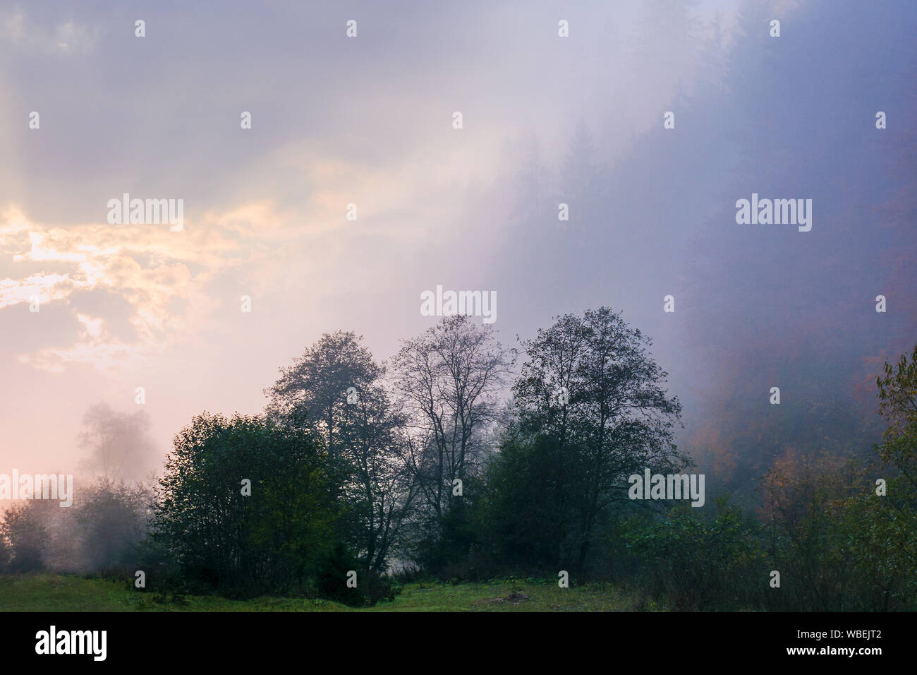 Una fitta nebbia in autunno campagna. alberi sulle colline nella zona rurale. La luce del sole di rompere attraverso il misterioso fenomeno meteorologico di sunrise Foto Stock