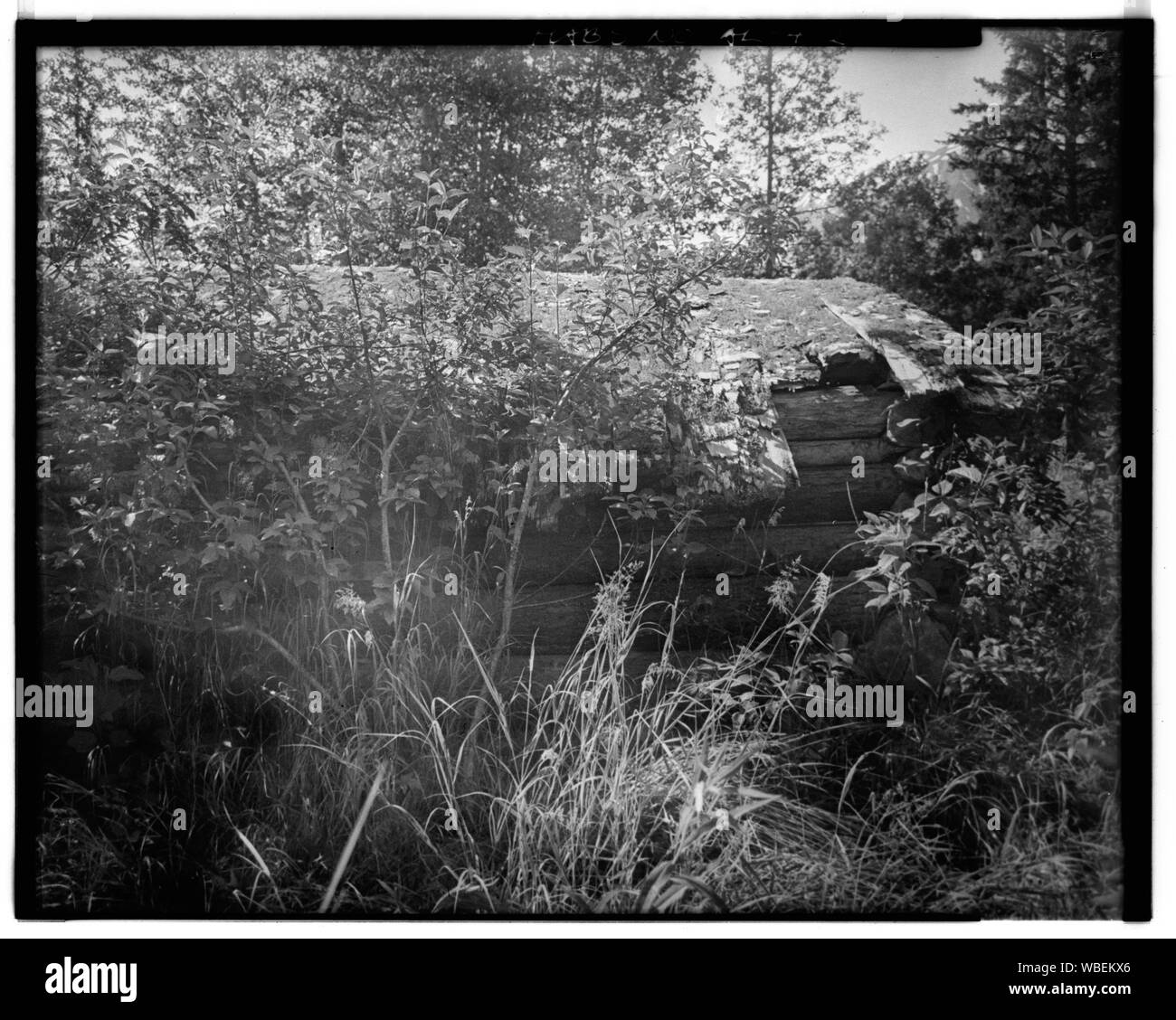 GARAGE (Edificio A) PARETE NORD - Dalton Trail Post, miglio 40, Haines Highway, Haines, Haines Borough, AK Foto Stock