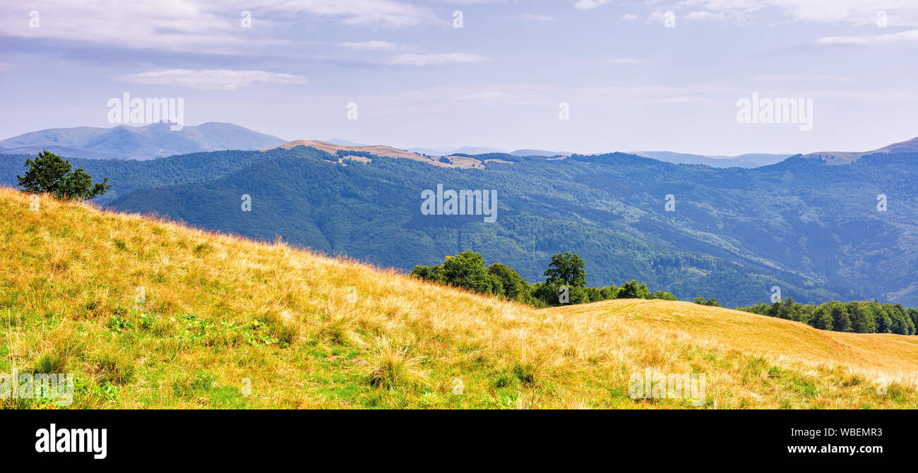 Il bellissimo panorama di un paesaggio di montagna. splendida estate pomeriggio. faggi sul prato erboso. nuvole sul cielo di giorno e di notte serie Foto Stock