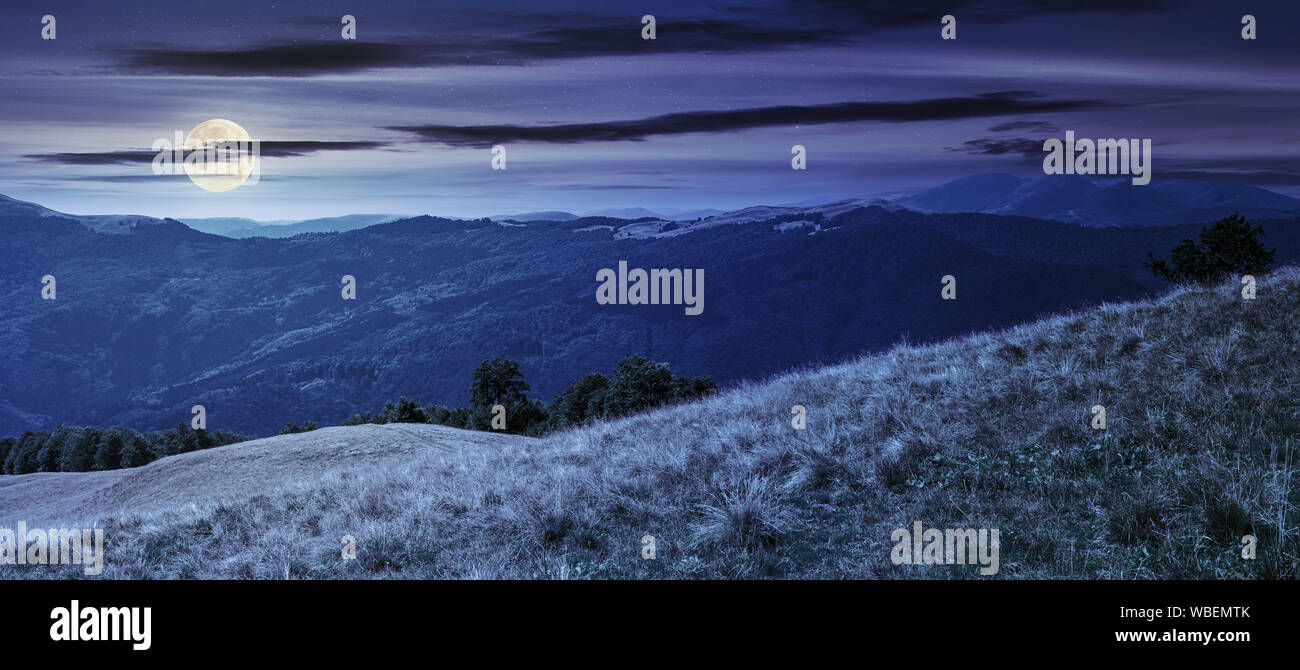 Bellissimo paesaggio di montagna di notte. uno splendido scenario estivo nella luce della luna piena. faggi sul prato erboso. nuvole sul cielo di giorno e di notte ser Foto Stock