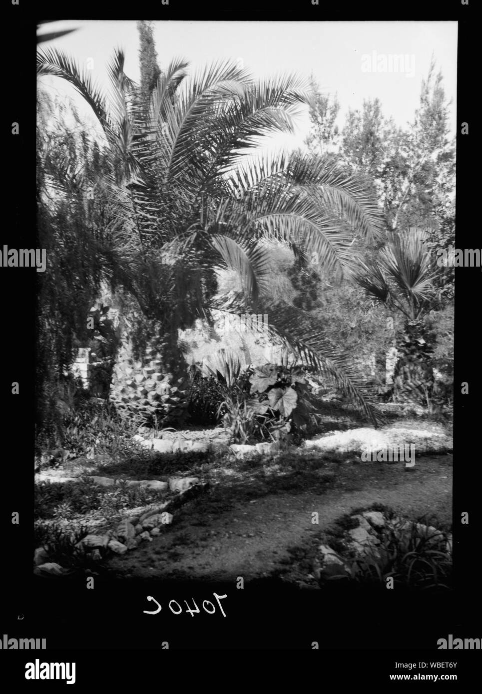 Garden Tomb & Gordon's Calvario Abstract/medio: G. Eric e Edith Matson Collezione fotografica Foto Stock