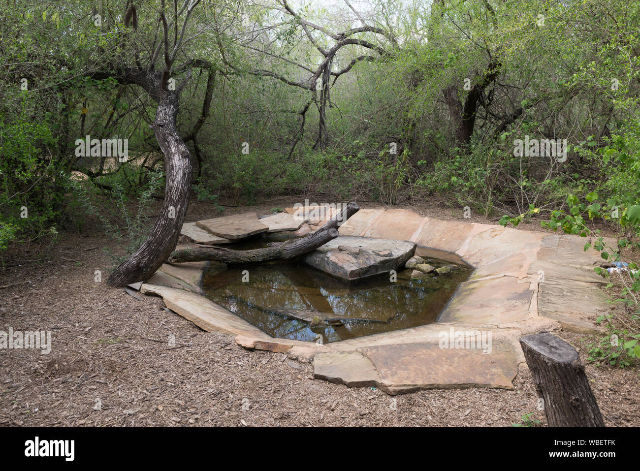 Garden includono a Quinta Mazatlan, una storica adobe mansion e natura e birdwatching center situato a McAllen, Texas Foto Stock