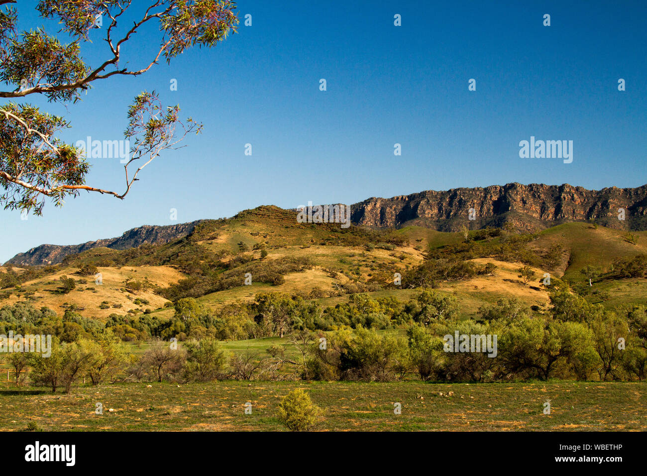 Vasto paesaggio in Flinders Ranges National Park con robusto roccioso rosso va al di là di verdi colline sotto il cielo blu , South Australia Foto Stock