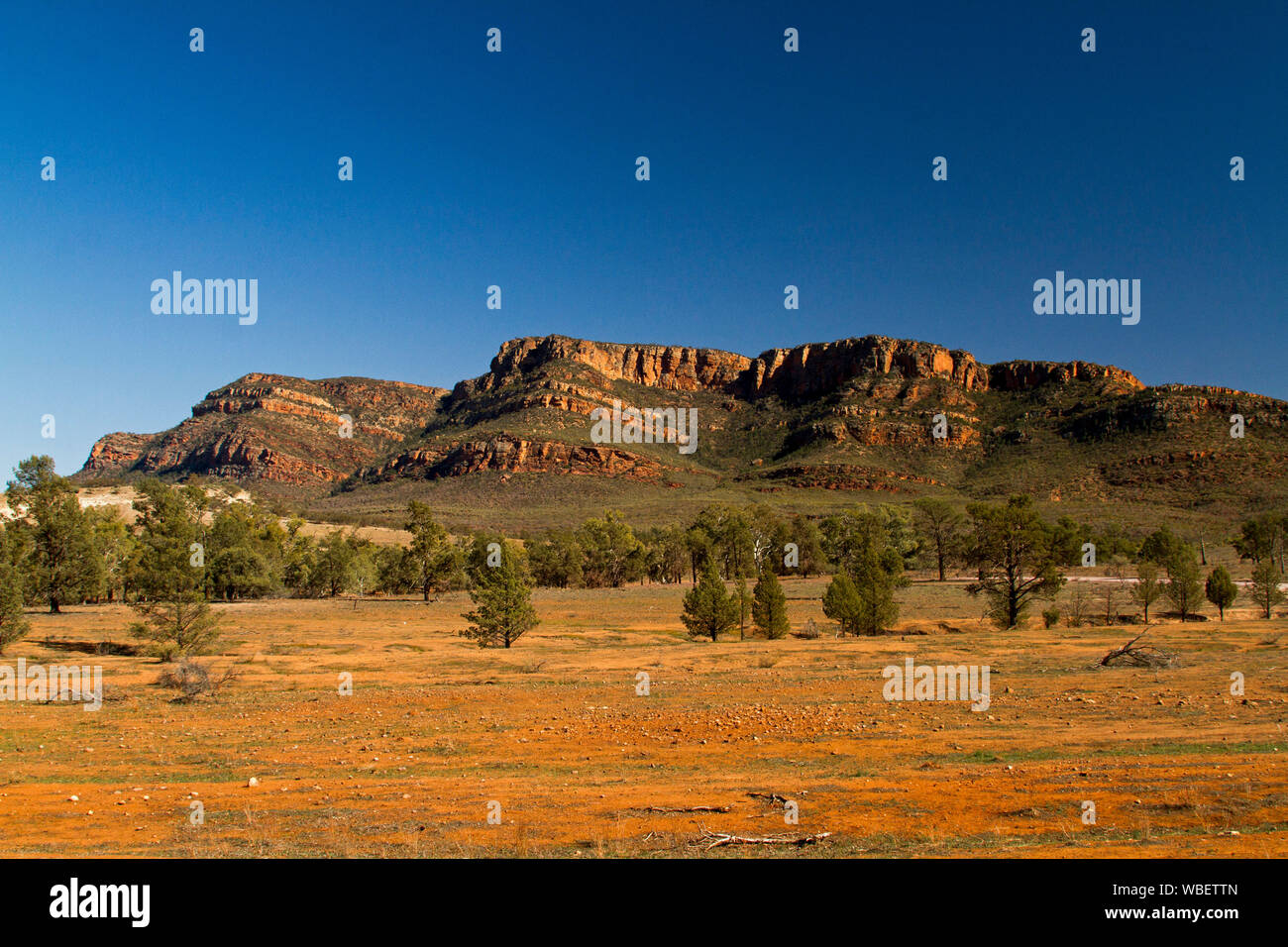 Paesaggio in Flinders Ranges National Park con rosso aspre colline rocciose al di là brulle pianure che arrivano fino in cielo blu , South Australia Foto Stock