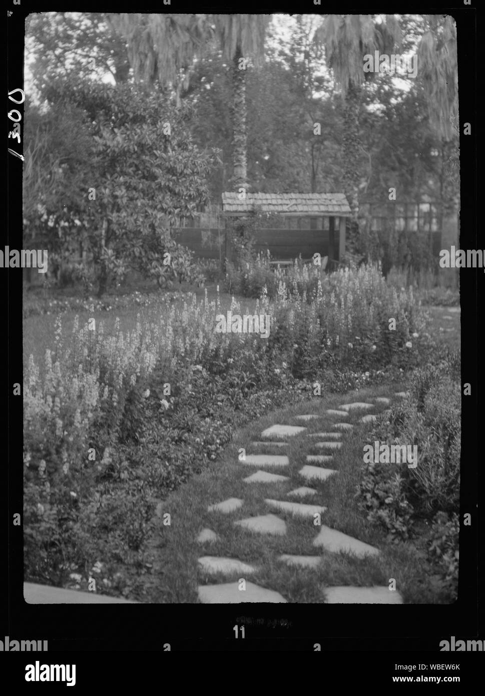Giardino, New Orleans o Charleston, Carolina del Sud Abstract/medio: Genthe Arnold, 1869-1942, fotografo. Foto Stock