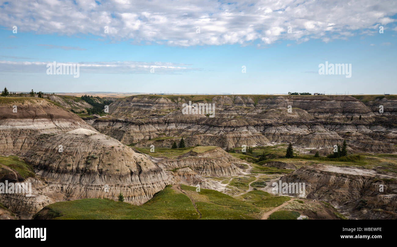 Horseshoe Canyon in Alberta badlands. Foto Stock