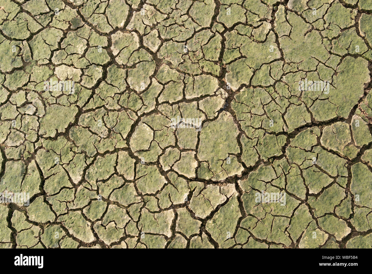 La siccità, la massa crepe niente acqua calda la mancanza di umidità vista superiore Foto Stock