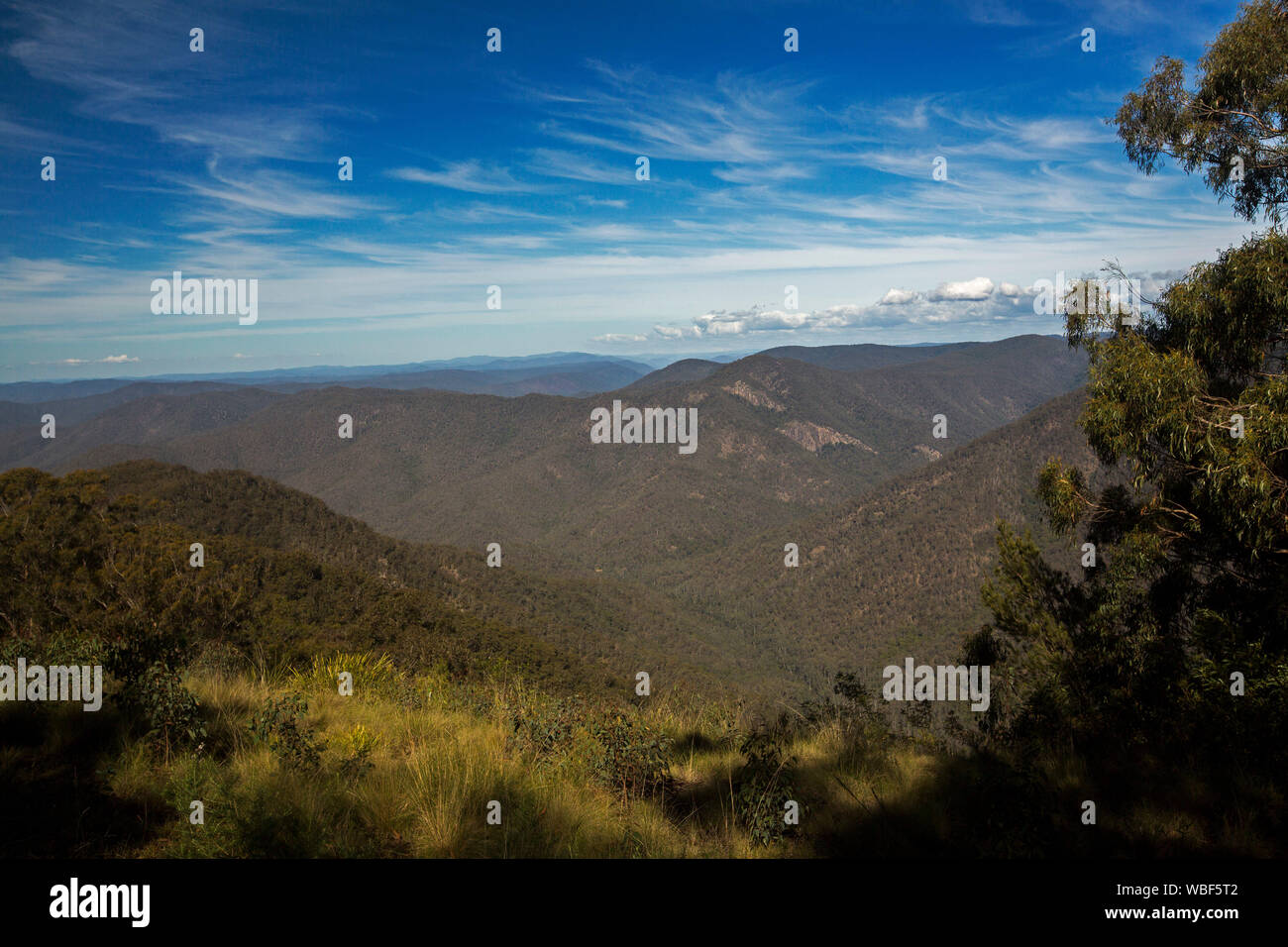 Paesaggio dominato da aspre cime boscose della grande gamma di divisione che si estendono a lontano orizzonte sotto il cielo blu, NSW Australia Foto Stock
