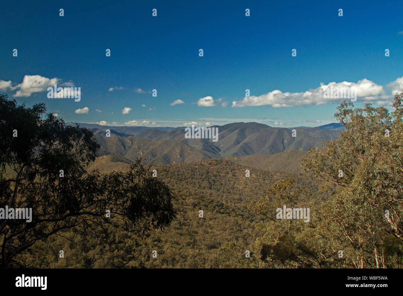 Paesaggio dominato da aspre cime boscose delle montagne Alpine del Parco Nazionale di quel tratto di lontano orizzonte sotto il cielo blu, Victoria Australia Foto Stock