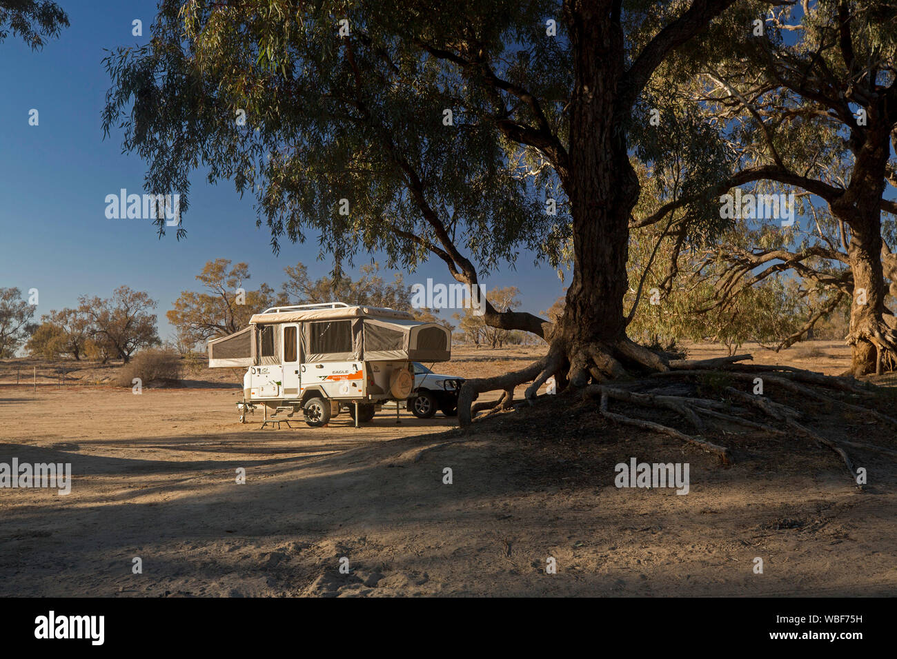 Camper rimorchio, holiday accommodation, accanto al grande albero di gomma in città in comune Innamincka outback in Sud Australia Foto Stock