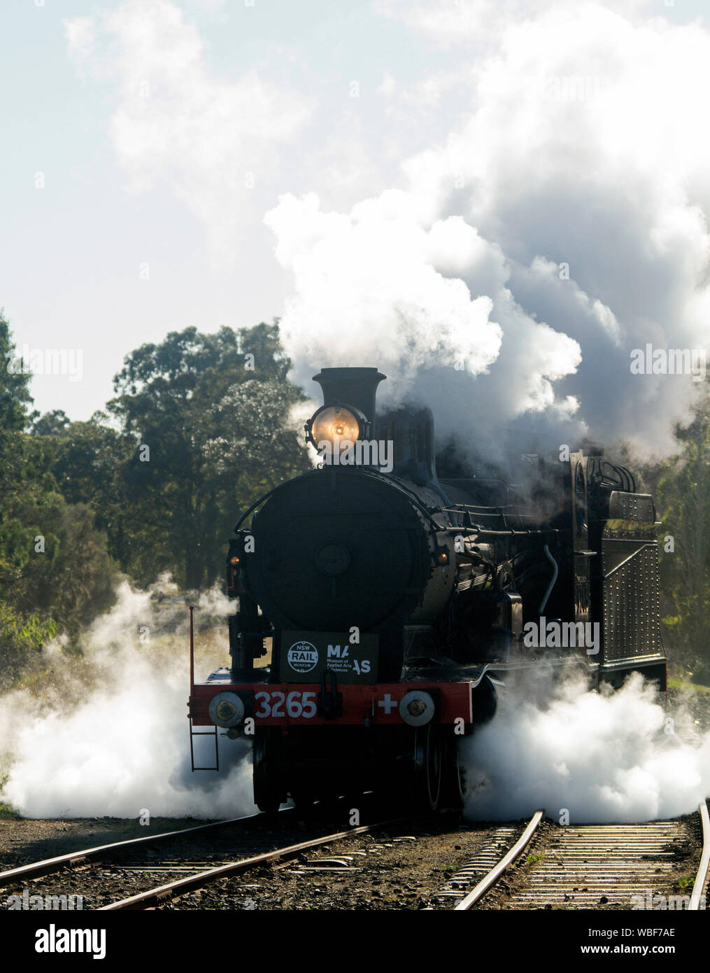 Restaurato treno a vapore su binari ferroviari circondato da nubi di vapore a Thirlmere Museo Ferroviario NSW Australia Foto Stock