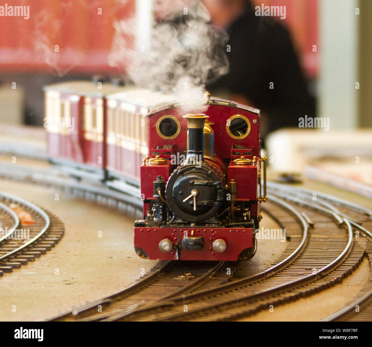 Miniatura rosso treno a vapore, producendo nube di vapore, con locomotiva carrelli di trascinamento intorno a via interna Foto Stock