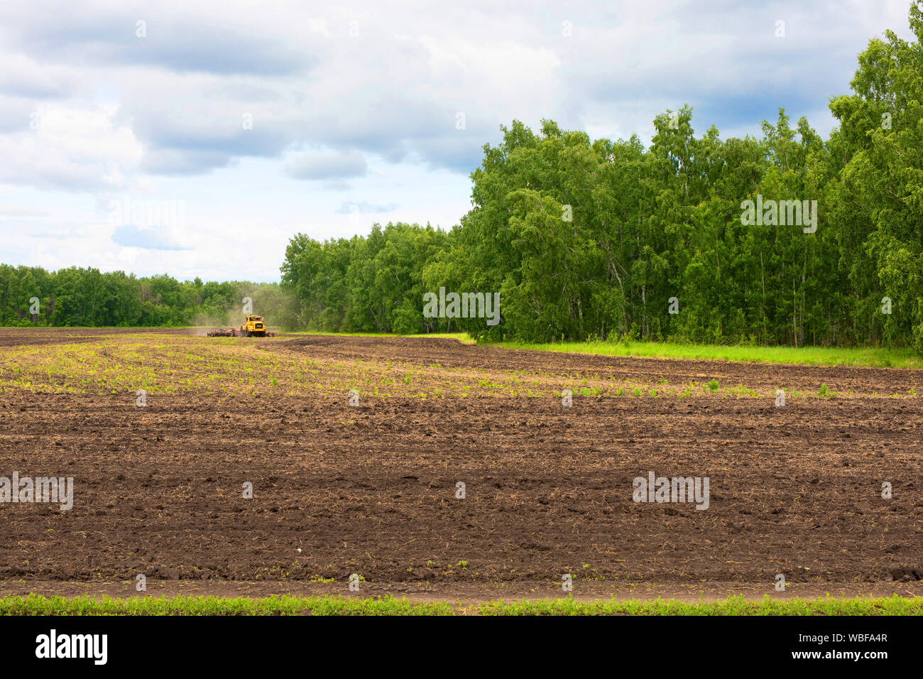 Giallo trattore agricolo o di mietitrebbia preparare il terreno con un coltivatore come pre-semina di lavoro. campo coltivato Foto Stock