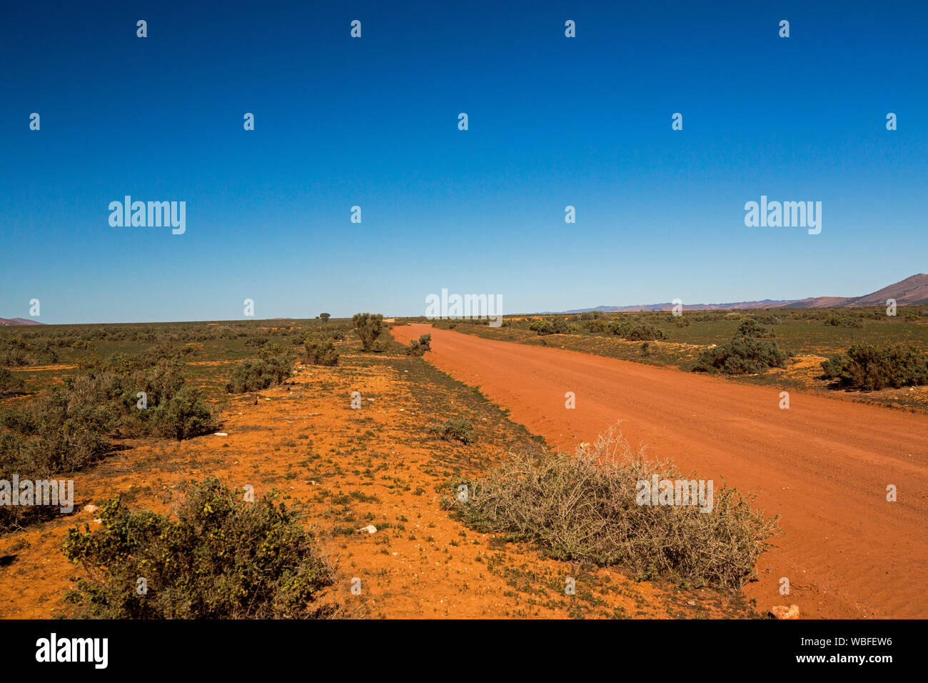 Australian Outback road che spazia su tutta la pianura coperta con bassa vegetazione verso il lontano orizzonte nord di Quorn Sud Australia Foto Stock
