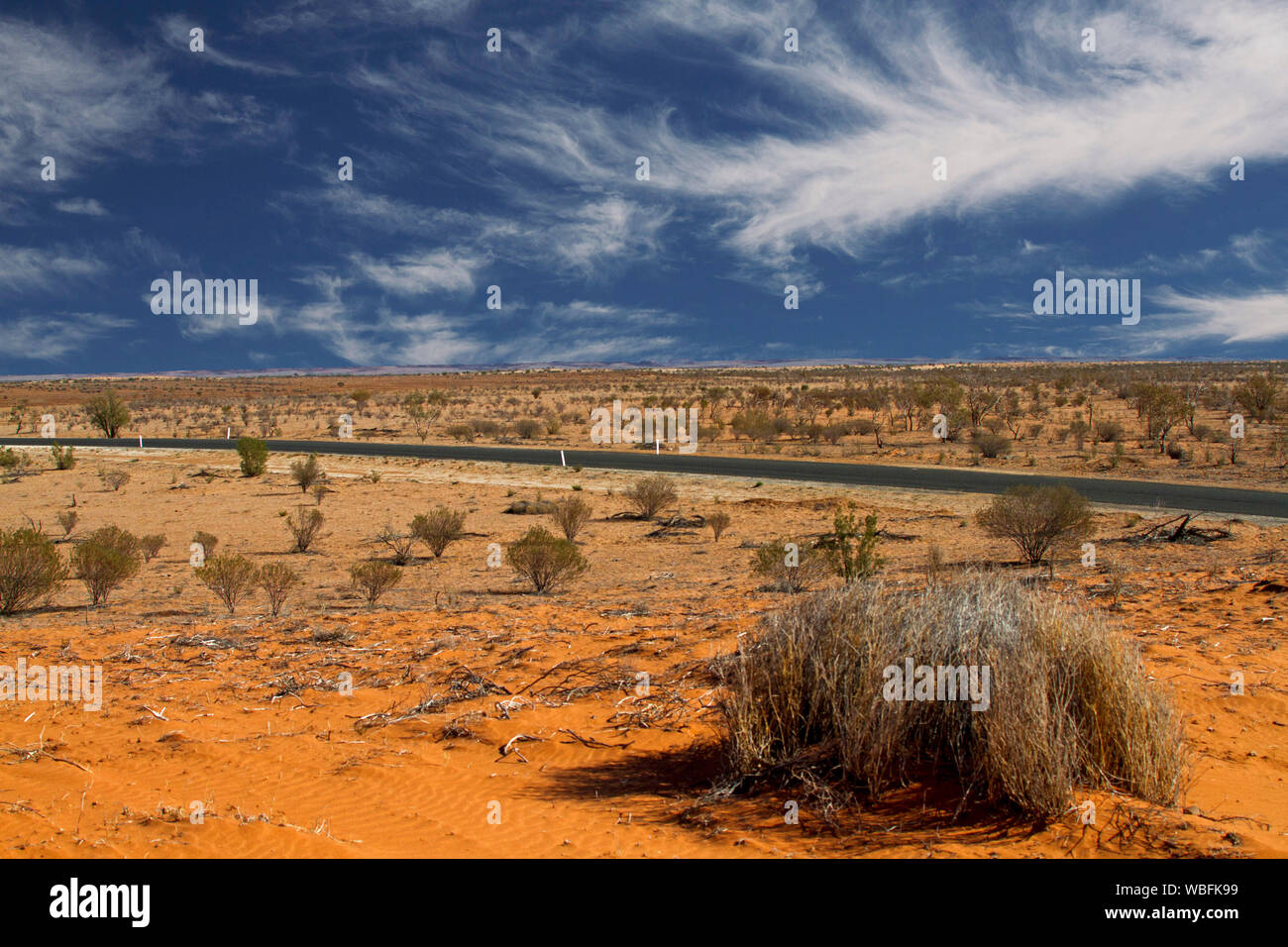 Strada che spazia su tutta la vasta red outback australiano pianure con dispersione di bassa vegetazione secca sotto il cielo blu Foto Stock