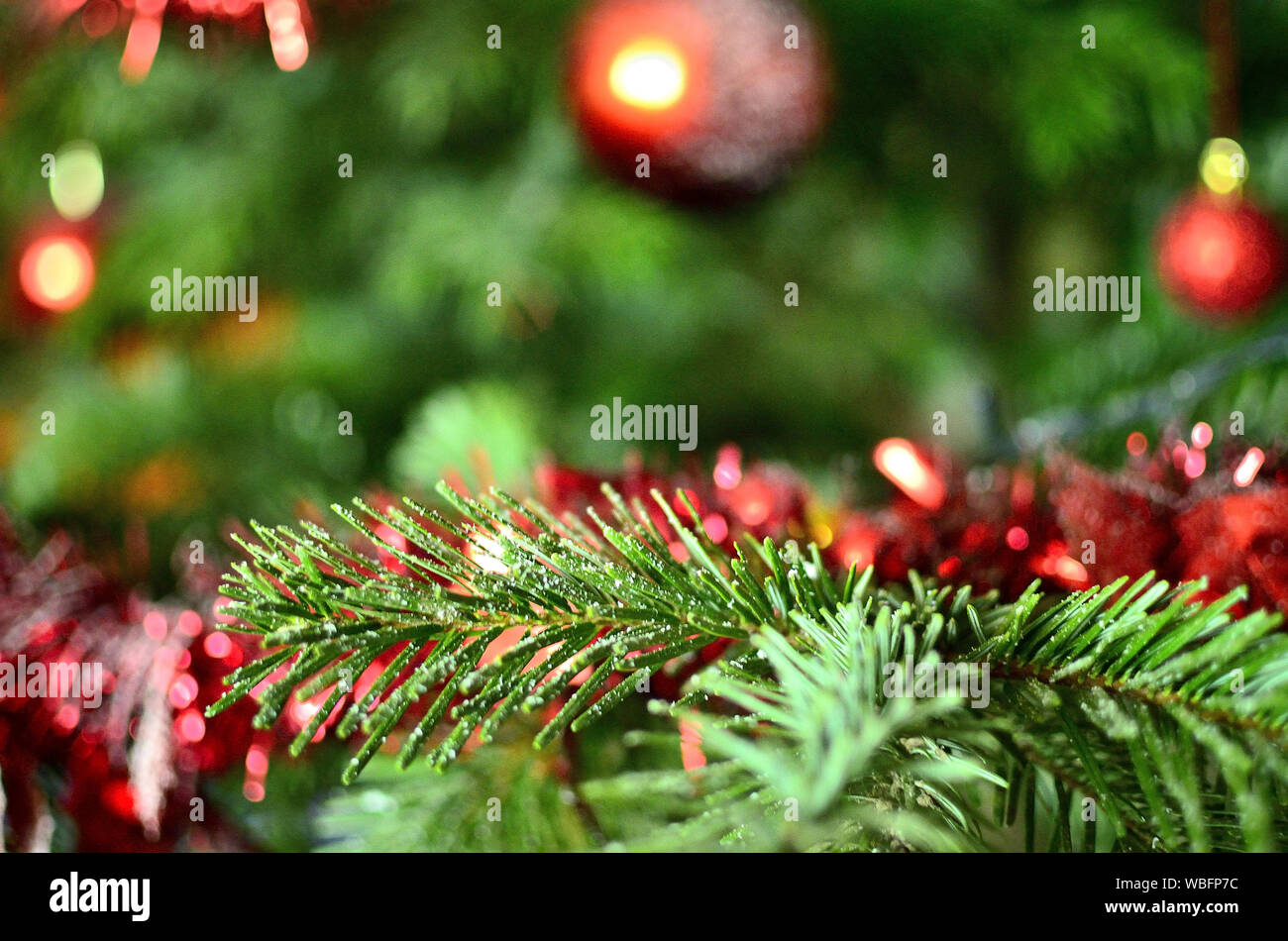 Primo piano di ramo di albero di Natale decorato con neve artificiale e Ornamenti rossi Foto Stock